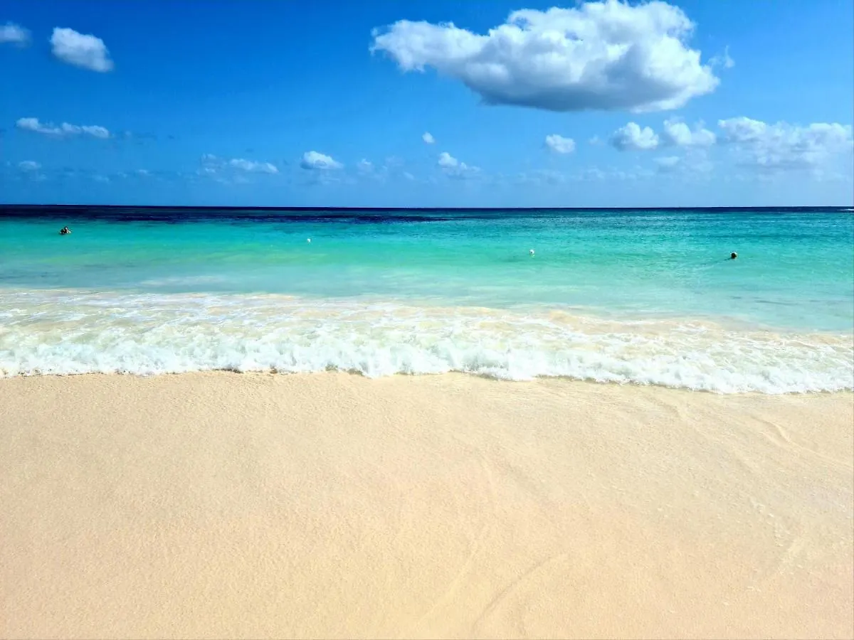 Ubicacion Inmejorable A Pasos De Playacar Beach Y 5Ta Av Apartment Playa del Carmen