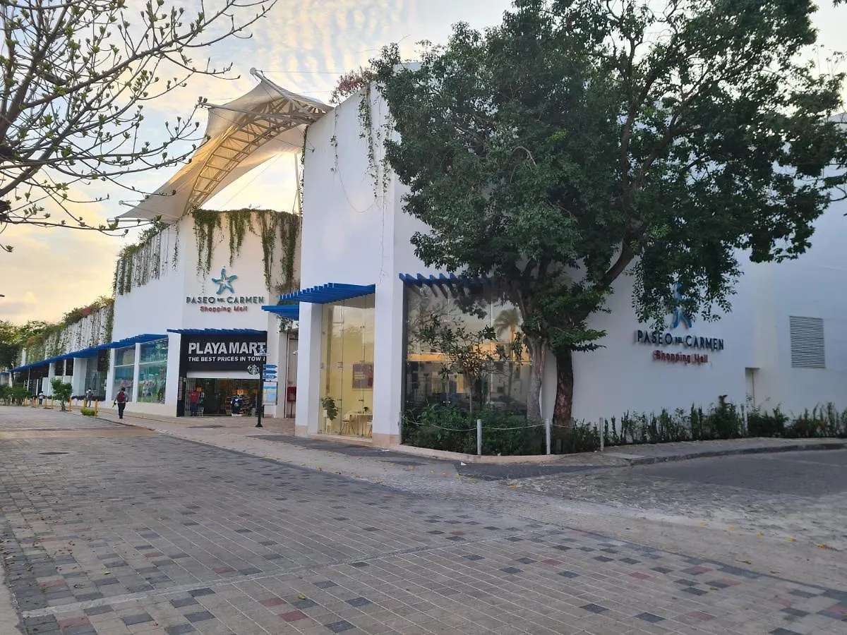 Ubicacion Inmejorable A Pasos De Playacar Beach Y 5Ta Av Apartment Playa del Carmen