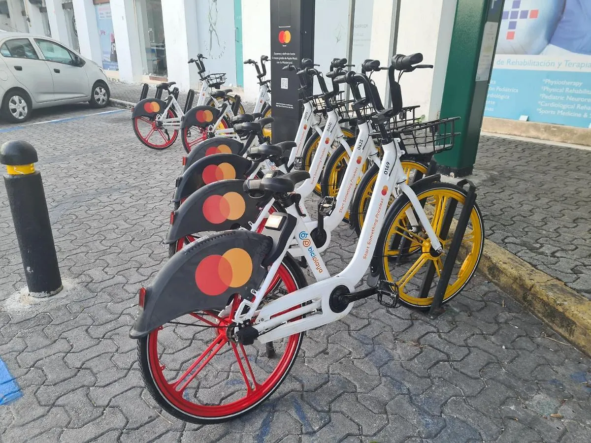 Ubicacion Inmejorable A Pasos De Playacar Beach Y 5Ta Av Apartment Playa del Carmen