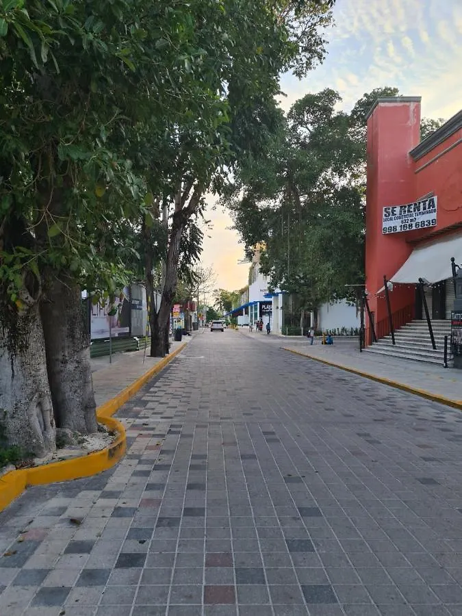 Ubicacion Inmejorable A Pasos De Playacar Beach Y 5Ta Av Apartment Playa del Carmen Mexico