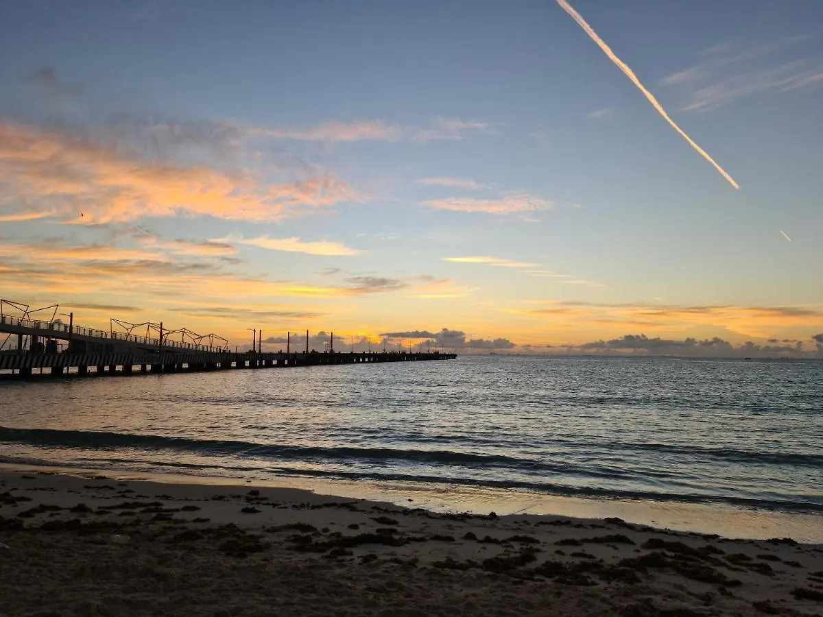 Апартаменты Ubicacion Inmejorable A Pasos De Playacar Beach Y 5Ta Av Плая-дель-Кармен
